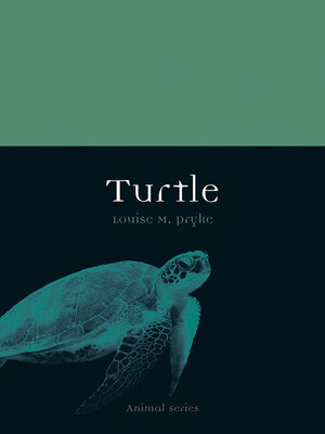 cover image of Turtle